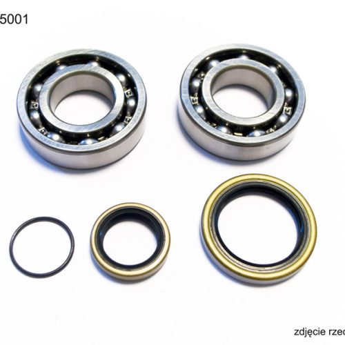 BEARING WORX LOŽISKO Kľukového hriadeľa BETA 2T 250/270/290/300 VŠETKY, 250/300 RR ’13-’22 (NTN) (MADE IN JAPAN) (23.CBS73013)