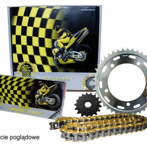 REGINA SADA POHONU DUCATI MONSTER 1000 (03-05) ,GT1000 (06-10) (15/39/100/525ZRP) REŤAZ DO 1300 CCM ZLATÝ (Z-RING)